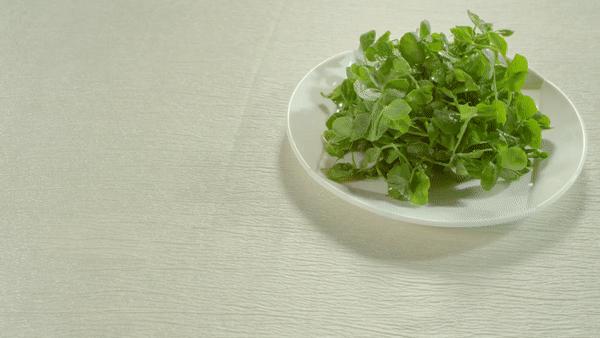 贵州高原苗寨景区,贵州高原魂视频