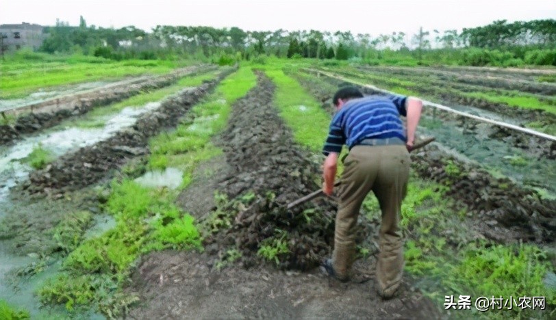 农村最赚钱的创业项目是,2022年农村创业致富的好项目
