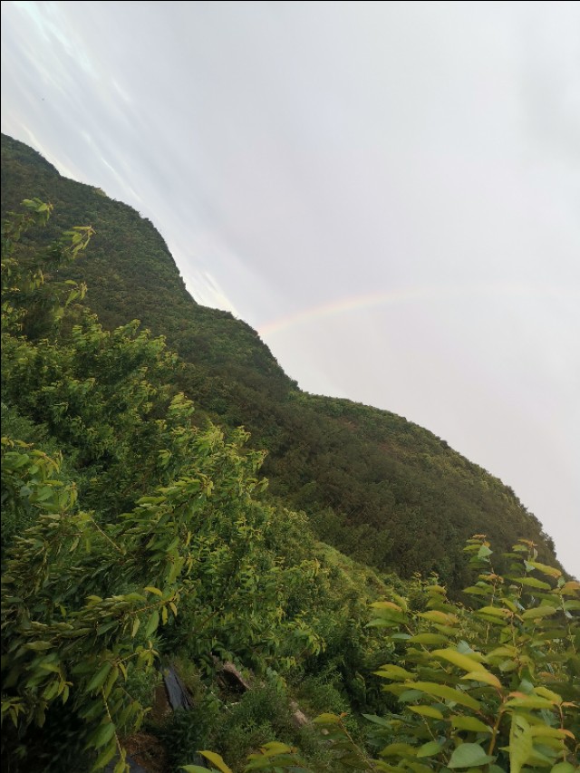 福建遛娃之戴云山,福州永泰遛娃好去处