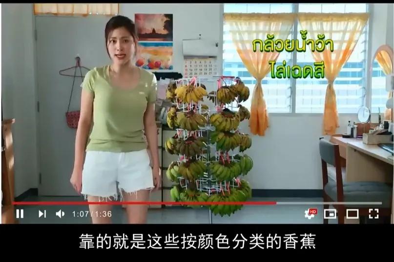 赵又廷泰国电视剧,泰国赵又廷电视剧