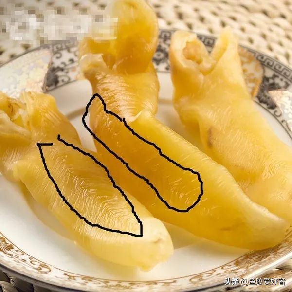 花胶选择指南如何挑选最好的花胶,2千元以内的花胶怎么挑选