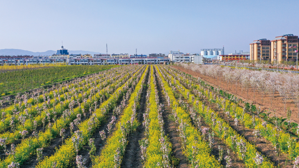 江苏东辛：上半年利润破亿高质量发展开新局