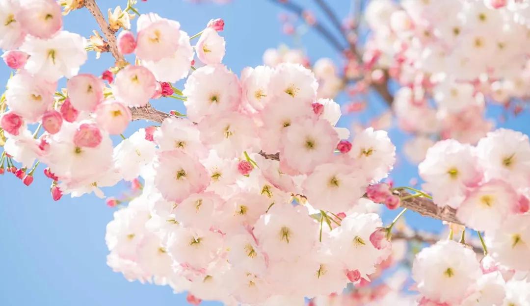 旅游三亚和厦门哪个更值得去,三亚和厦门哪个更值得去三亚旅游