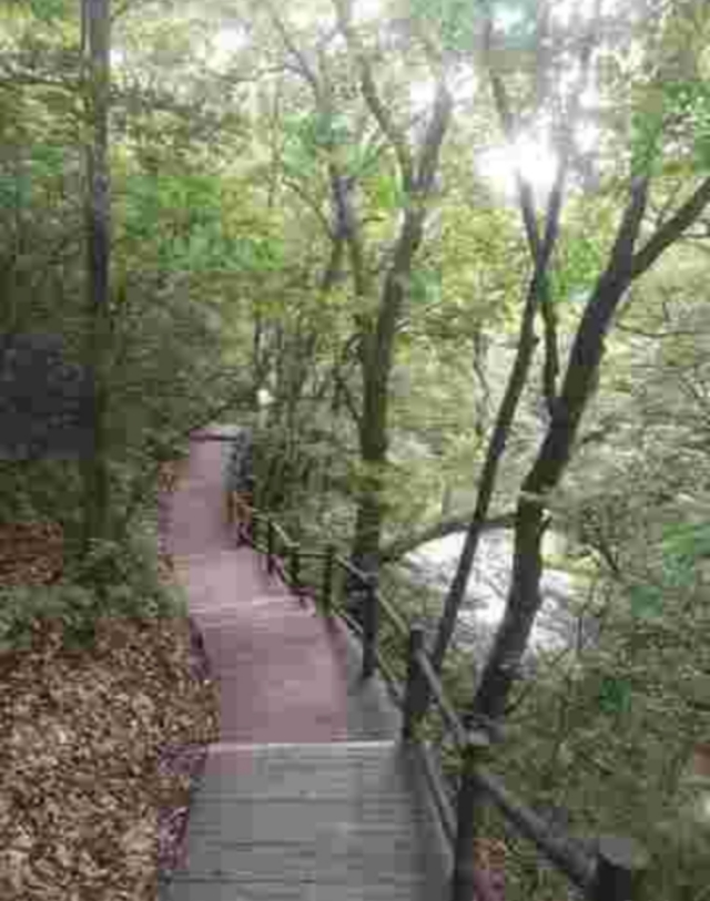 南召宝天曼地质公园,宝天曼内乡地质公园