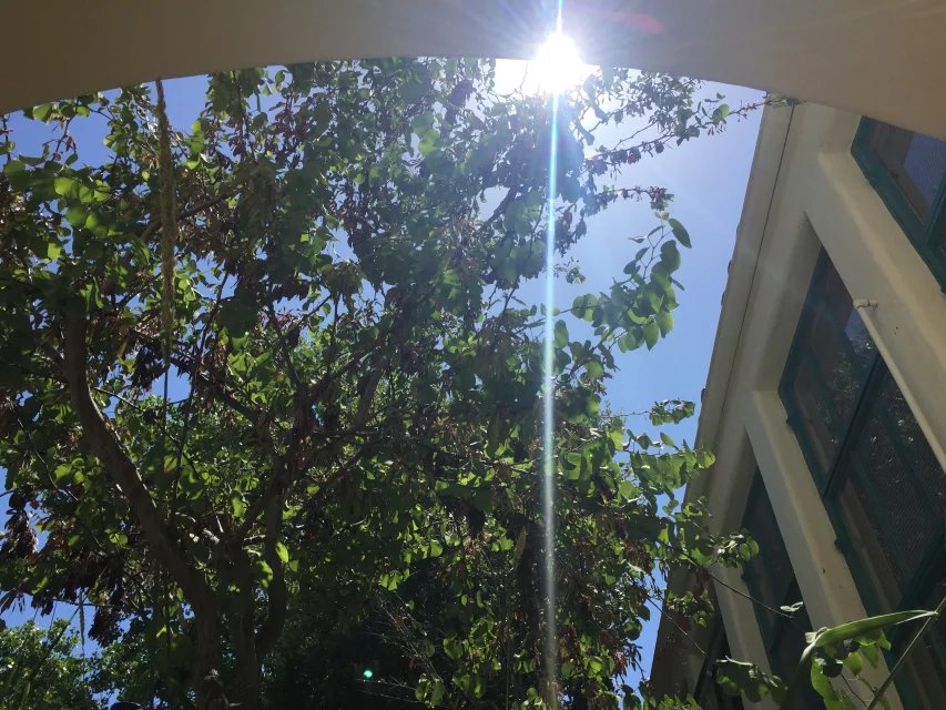 鏍兼灄濞佸皵澶у浠嬬粛,缇庡浗鏍兼灄濞佸皵澶у浠嬬粛