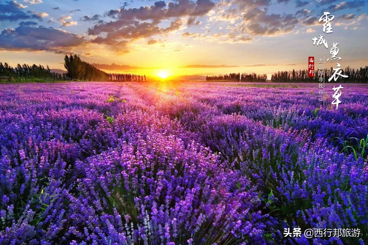 *疆新**,一定要不顾一切去一次的地方