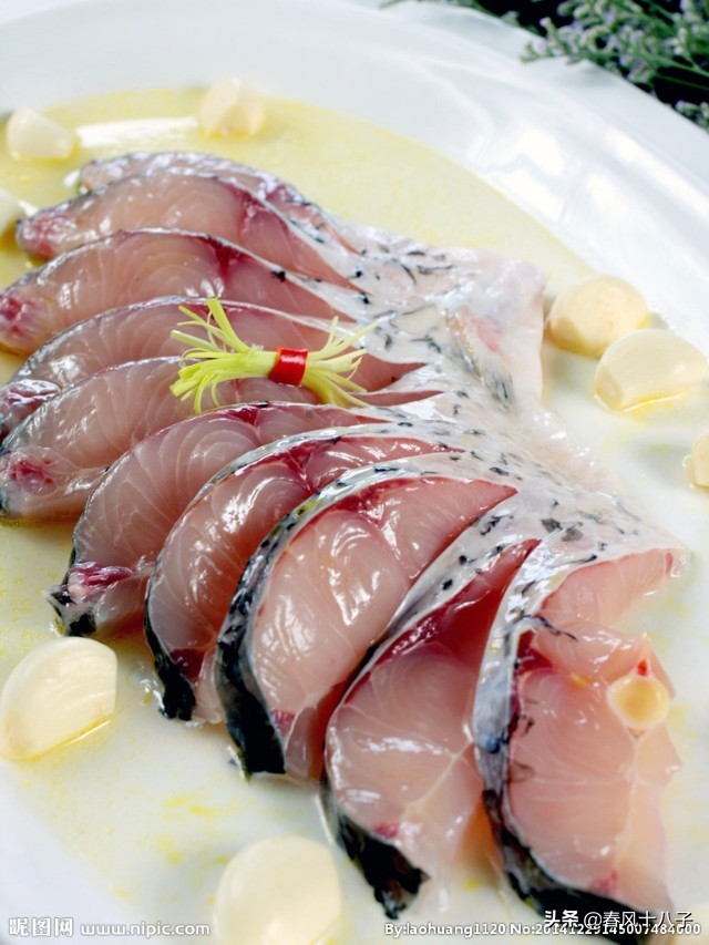 苞米钓青鱼,青鱼吃苞米吗