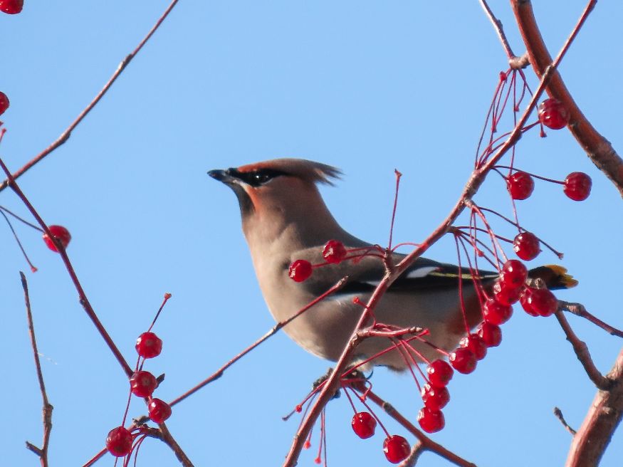 12倍光学变焦数码相机拍摄效果,10倍光学变焦相机拍照片