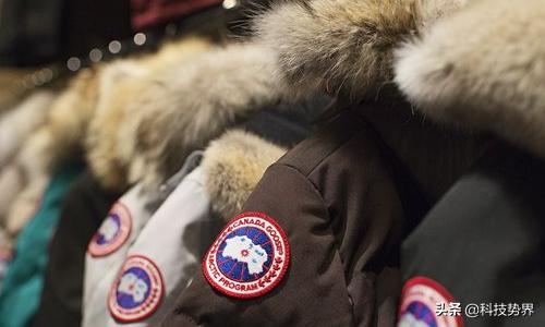 考拉海淘会不会卖假货,网易考拉假货率多吗