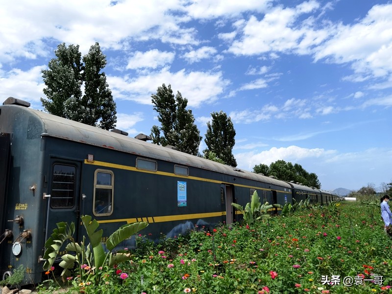 散文生命的列车,散文生命的列车女生版