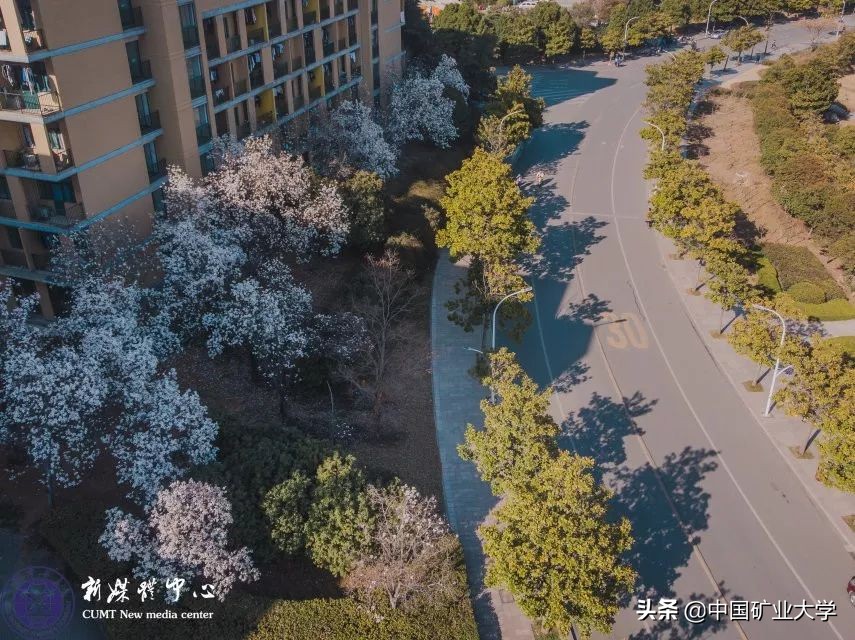 奔跑吧，矿大！校园跑的神奇打开方式！