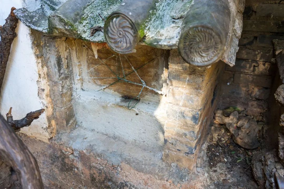 土蜂蜜的取蜜全过程,土蜂蜜取蜜全过程记录