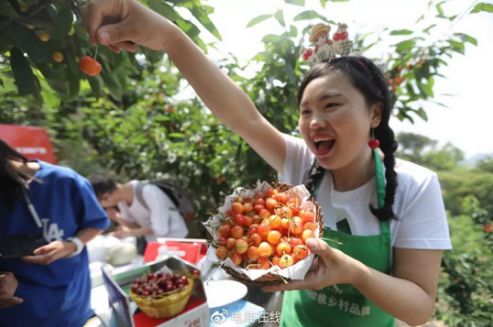 怎么在淘宝村播里面开直播卖货,淘宝直播村播计划怎么加入