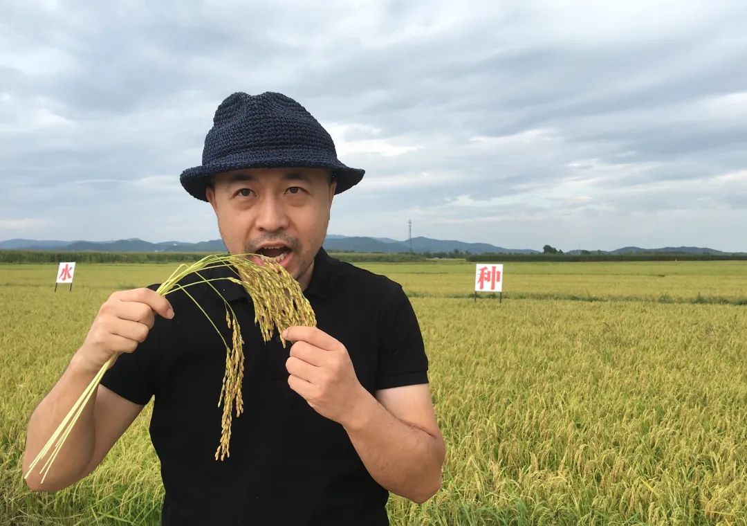 “中粮是绿皮火车，我们是高铁或飞机”丨专访龙米家创始人姜丰