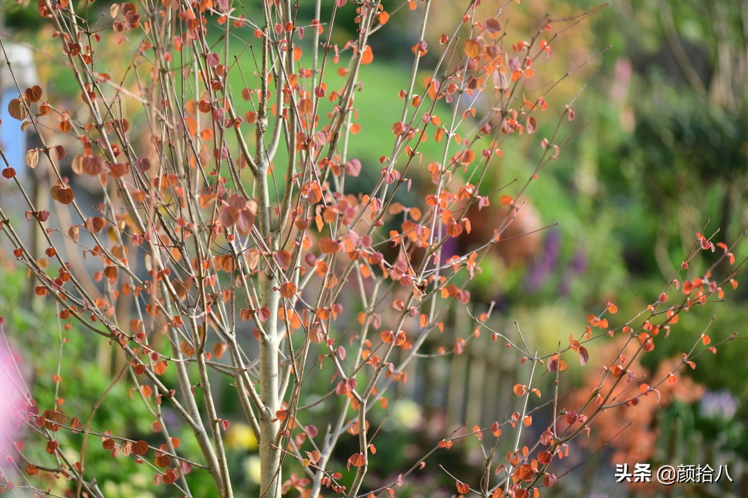 愿时光静止,愿时光静止在这一刻