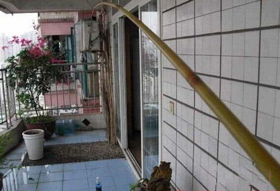 用竹子做鱼竿去小河钓鱼,日本自制竹子鱼竿过程视频