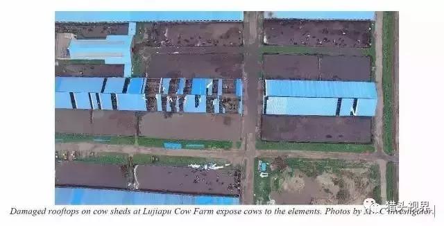 辽宁首富300亿蒸发完整视频,国际著名做空机构