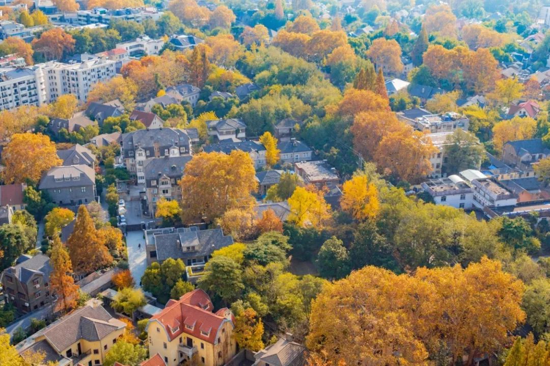 生活在南京的真实感受,南京适合生活嘛