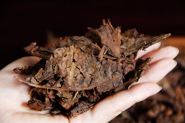 普洱茶黄片，你真的了解？