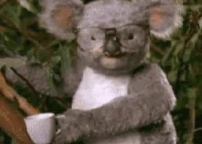 网易考拉与雅诗兰黛哪个好,雅诗兰黛小棕瓶京东自营是真的吗