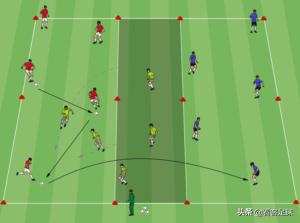 高水平运动员文化成绩要求趋势,高智商足球运动员