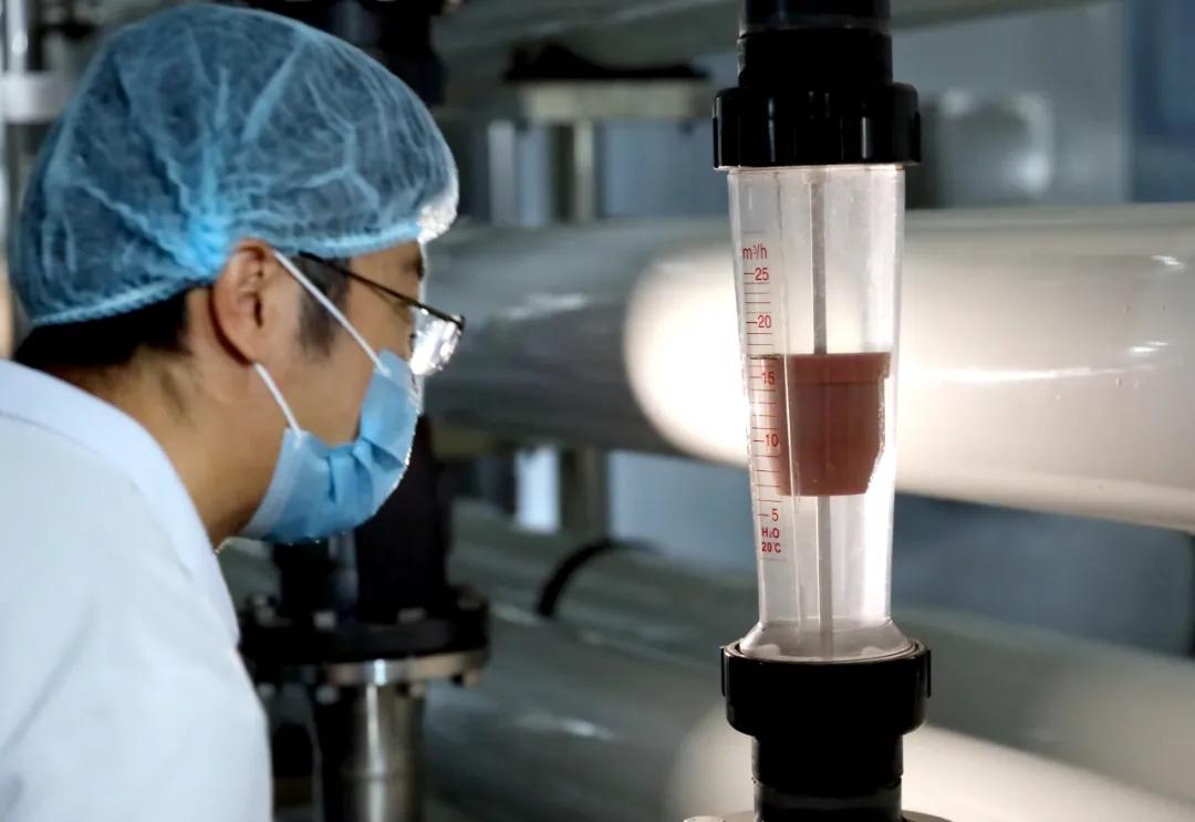 速看！@所有人：半岛请你试喝水，3桶崂翠免费送