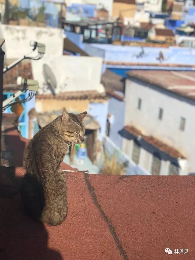 摩洛哥简单攻略,摩洛哥150天