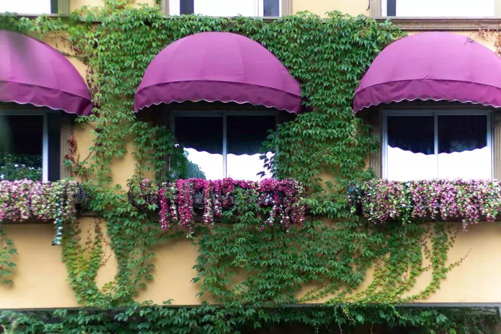 桂林楠溪温馨主题民宿,西昌市楠溪客栈民宿