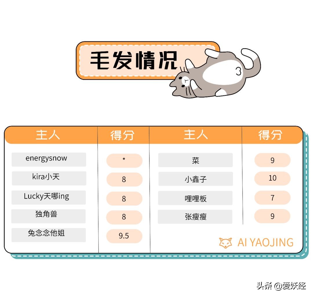 铲屎官减肥瘦身,吐毛球的铲屎官