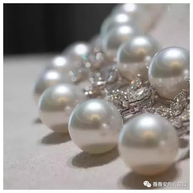 vivian楂樼骇鐝犲疂瀹氬埗,vivian鐝犲疂閽荤煶