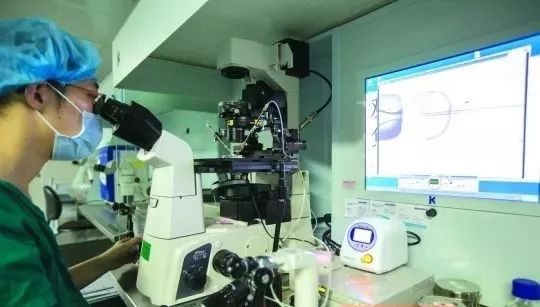 45岁冷冻卵子,28岁女生冻卵