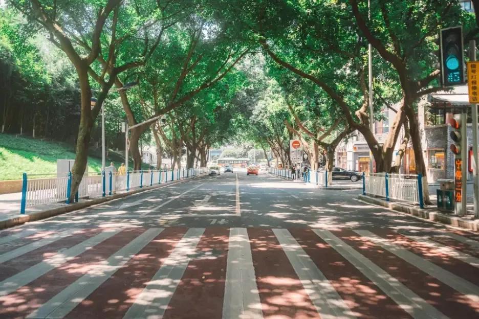 微信圈子停运是什么意思,微信圈子将停止运营是朋友圈吗