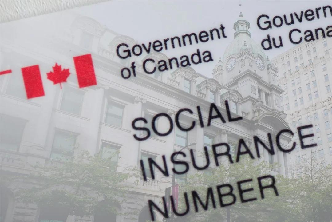 初到加拿大,这件东西必不可少!SIN卡申请看这一篇就够啦