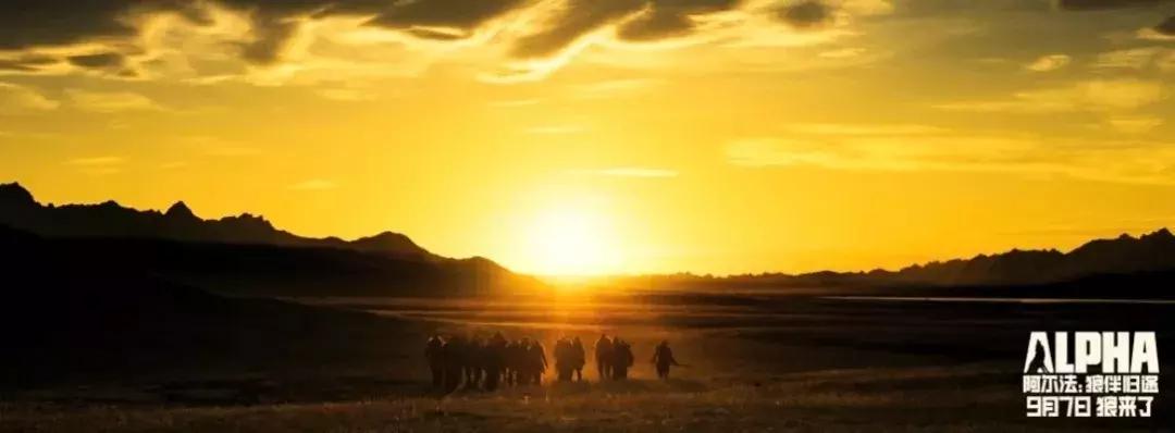 阿尔法|如果文明是卑躬屈膝,我会让你看到野蛮的骄傲