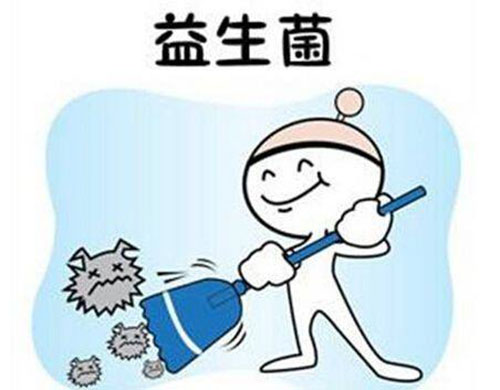 狗大便干燥怎么解决,狗大肠干燥怎么办