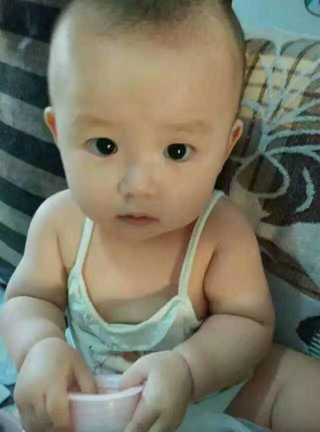 寻找真知派,寻找真知派最新消息