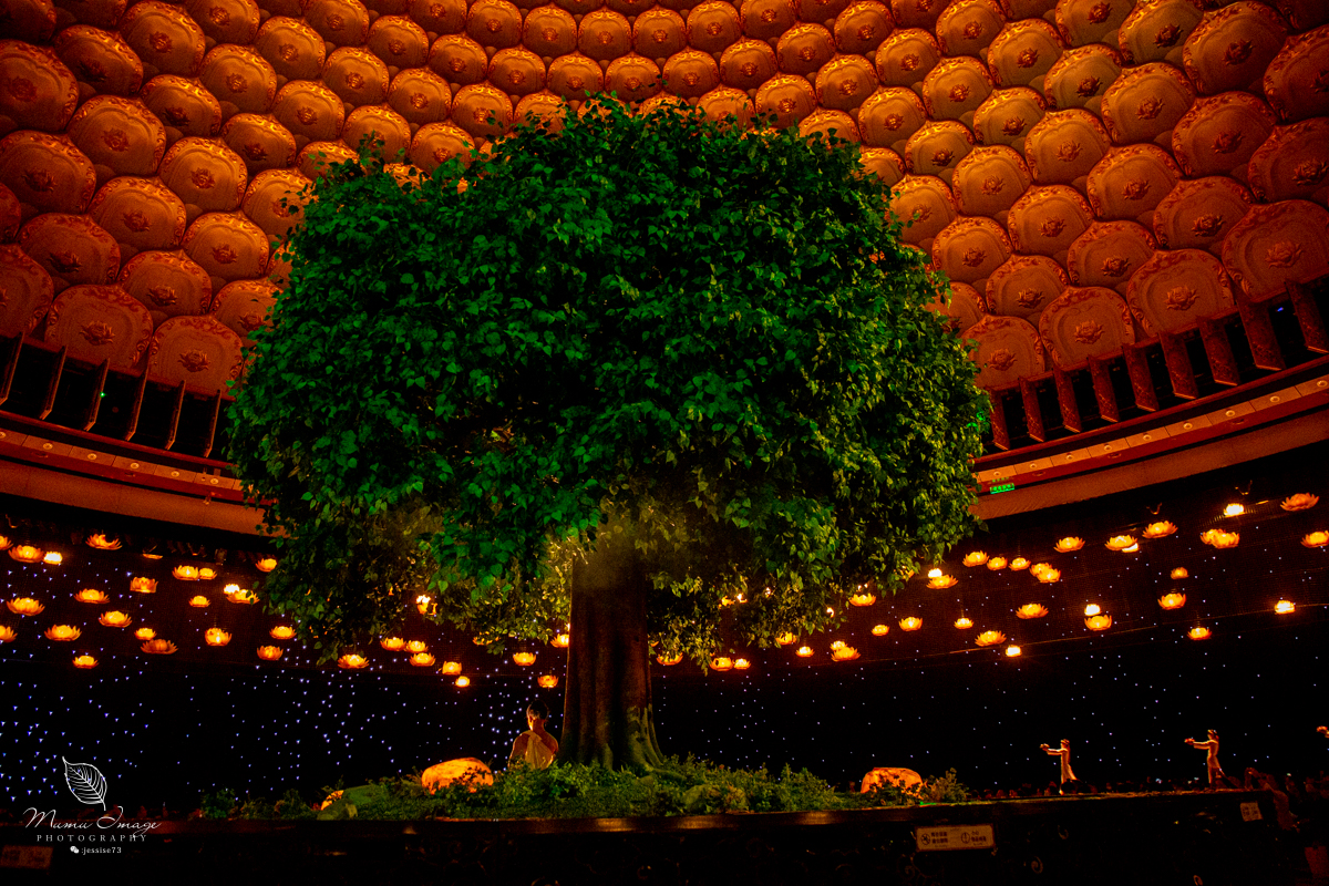 无锡灵山大佛抱佛脚视频,无锡灵山抱佛脚排队多久