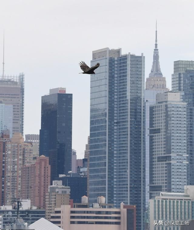 纽约臭气熏天,纽约遗体发臭事件