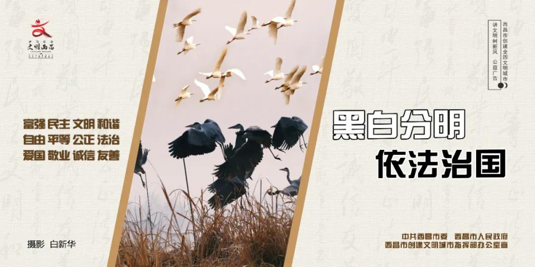 好消息！西昌--成都航班加密！（内附惊喜票价哦~）