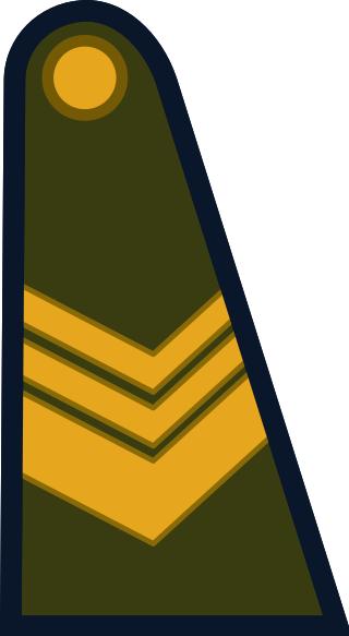 各国军衔标识俄罗斯,各国军衔标识