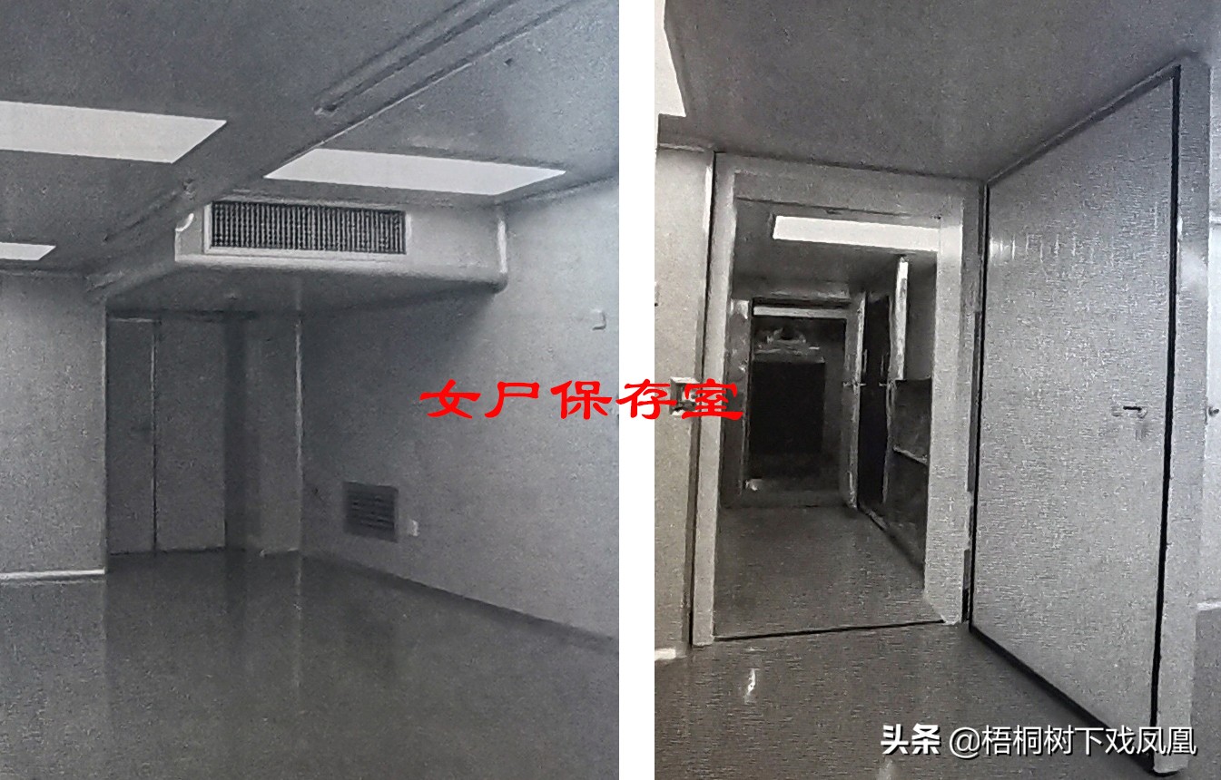 长沙马王堆汉墓女尸保护,长沙马王堆女尸复原