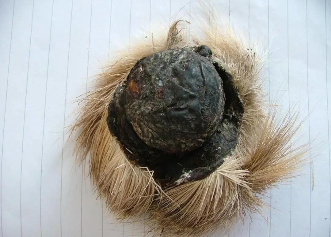 喝白酒配片仔癀,片仔癀正确吃法