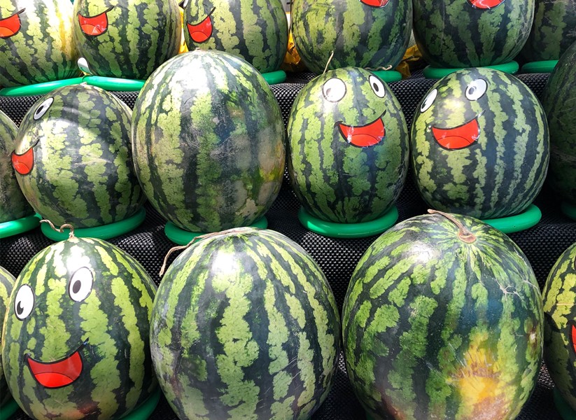 买西瓜时不要敲敲打打,买西瓜时怎么挑到又沙又甜的
