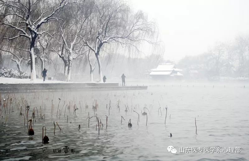 济南的冬天这才是冬天该有的样子,济南的冬天是散文吗