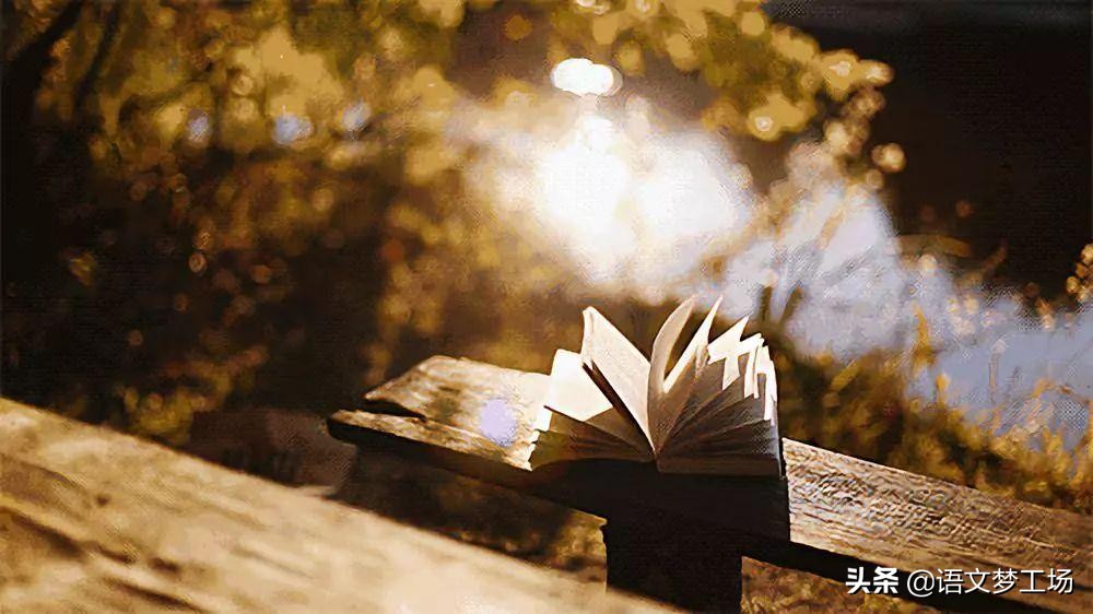 经典作文素材100字,经典素材作文500字