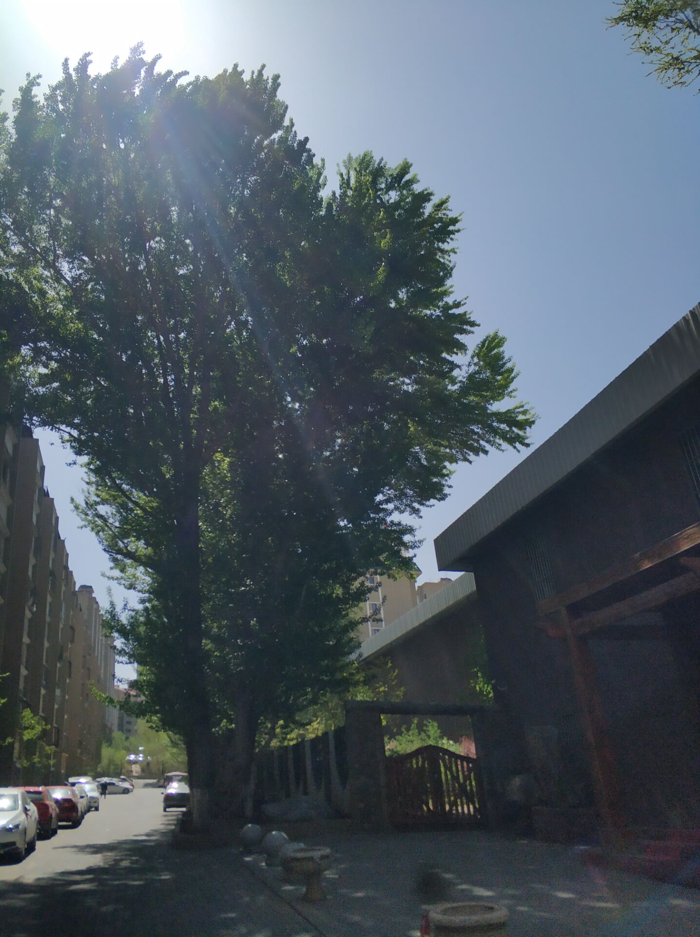 乌鲁木齐居然有这么漂亮的地方,乌鲁木齐周边森林公园在哪里