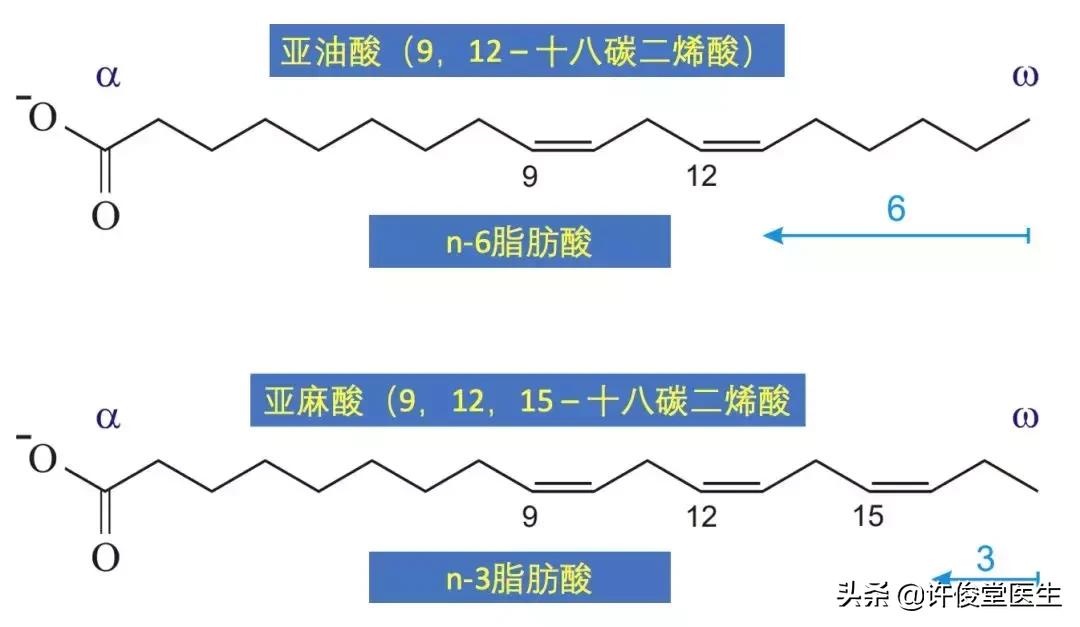 人们吃的脂肪有哪些,可以吃哪些优质脂肪