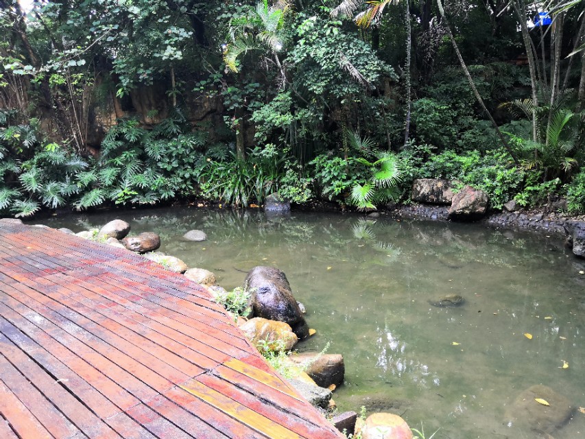 深圳市南山荔枝公园,深圳荔枝公园好看吗