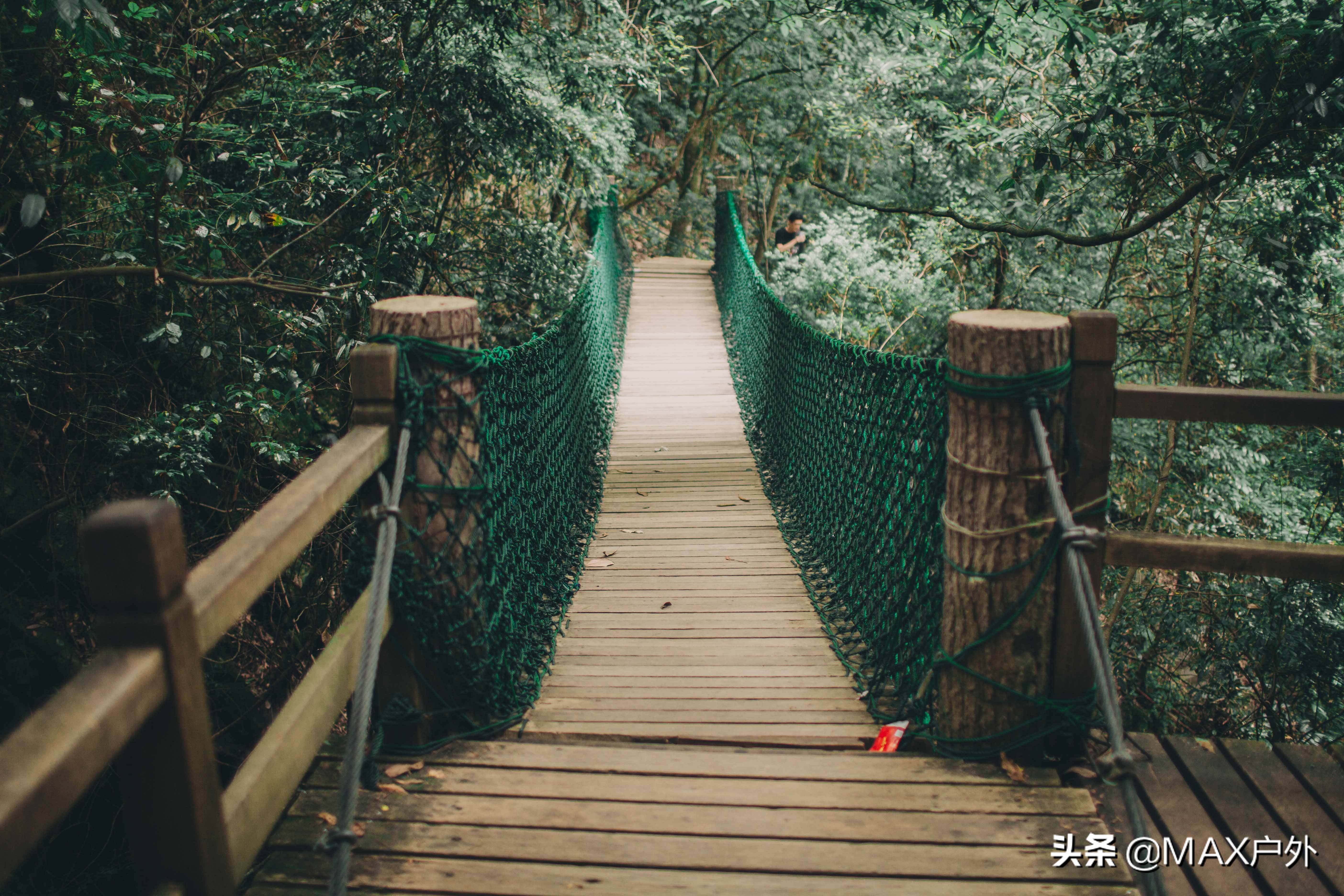 开启你的天然氧吧洗肺之旅,富氧洗肺好去处