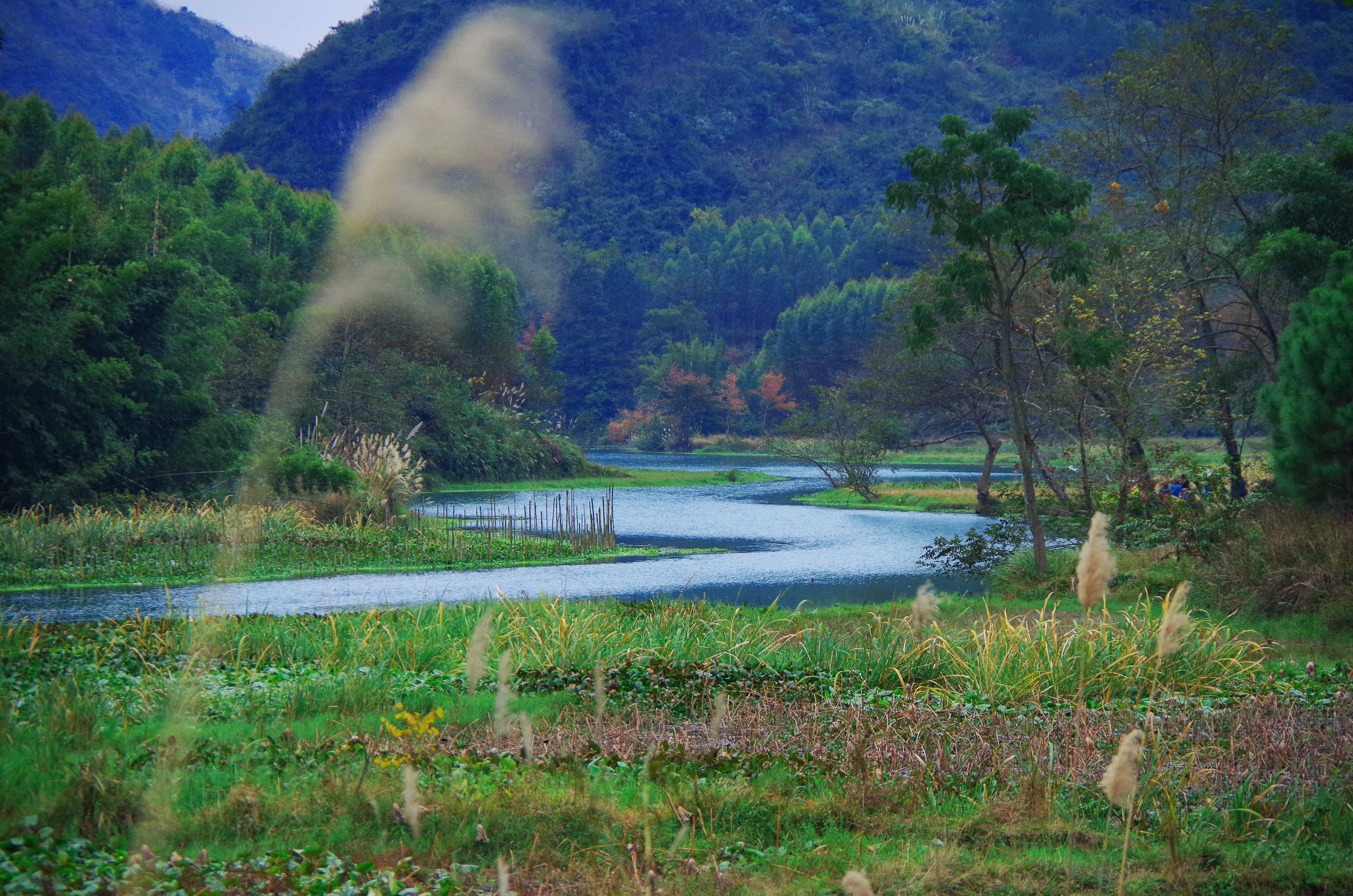 柳州鹿鸣山小七孔,柳州自驾小七孔旅游攻略